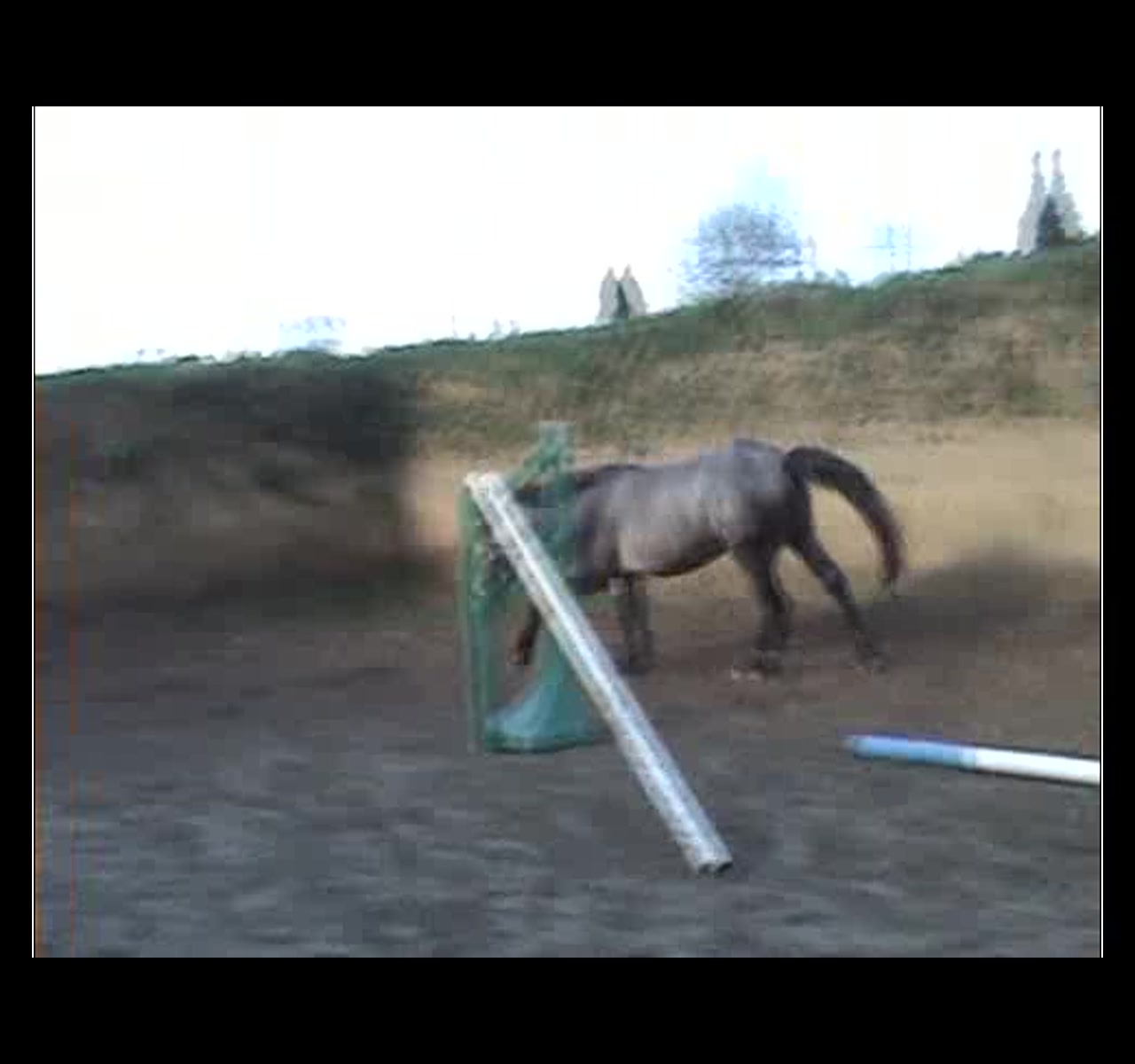 Capture