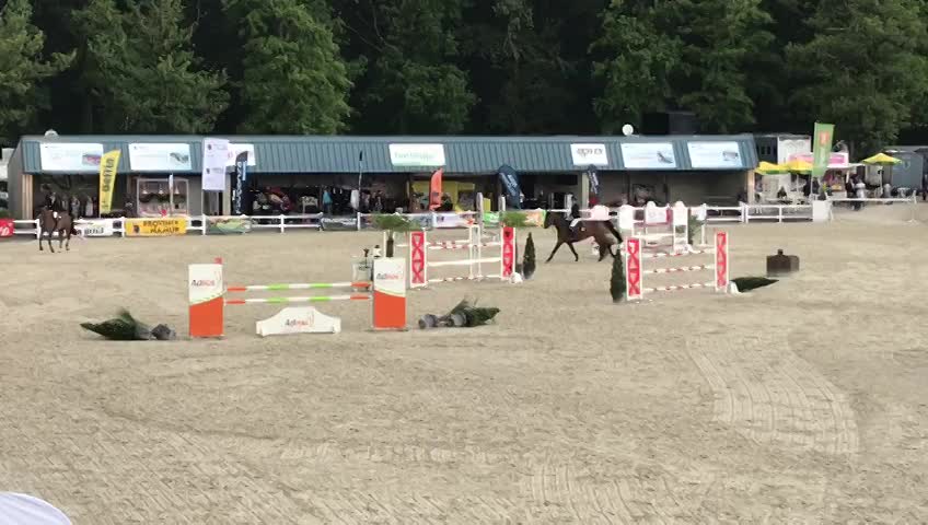 Championnat de Belgique Jeunes Chevaux - Jumping - 2019 Championnat de Belgique Jeunes Chevaux - Jumping - 2019