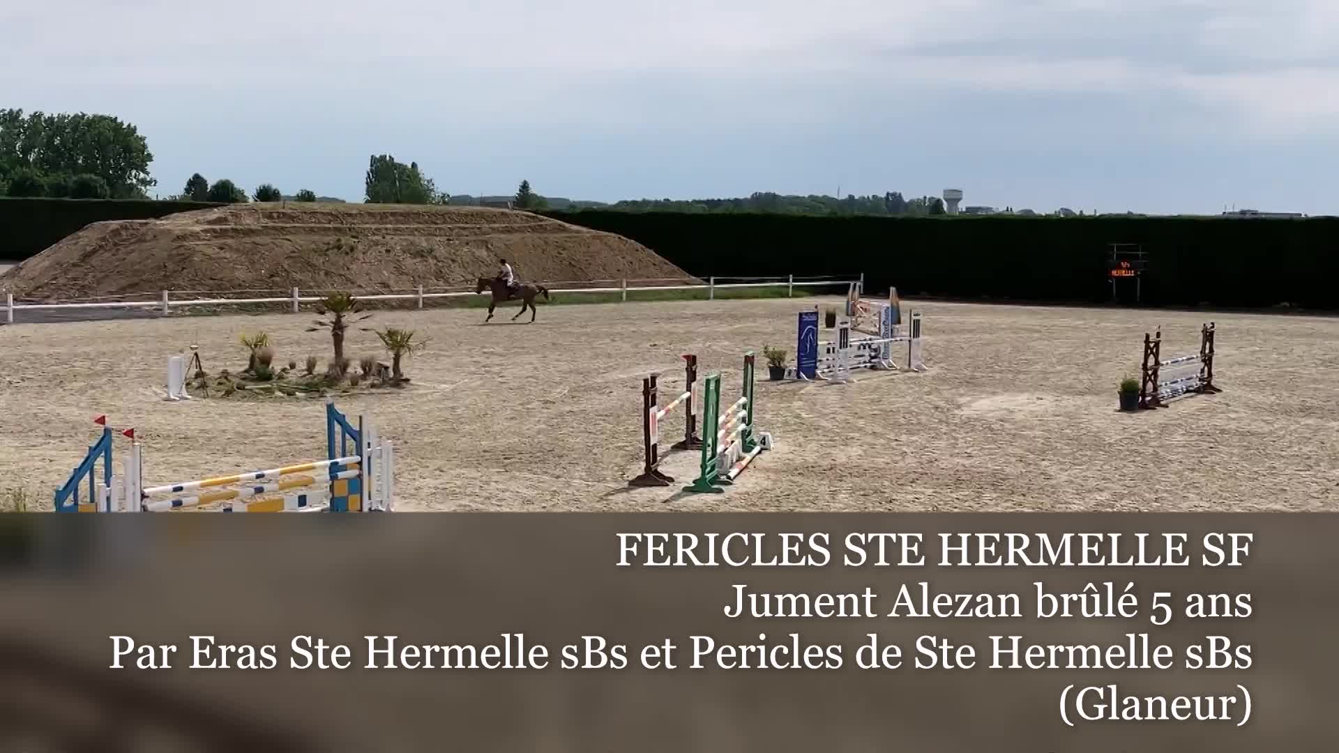 Concours jeunes chevaux 2020 (enfin!!!) Concours jeunes chevaux 2020 (enfin!!!)