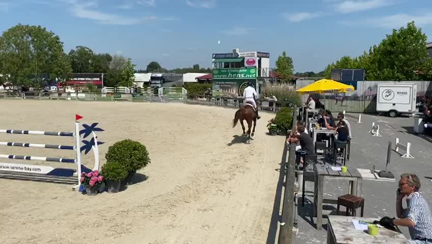 Concours Vieux Chevaux Concours Vieux Chevaux