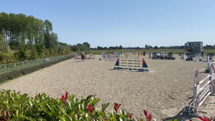 Concours Vieux Chevaux Concours Vieux Chevaux