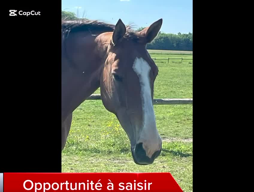 Opportunité à saisir …