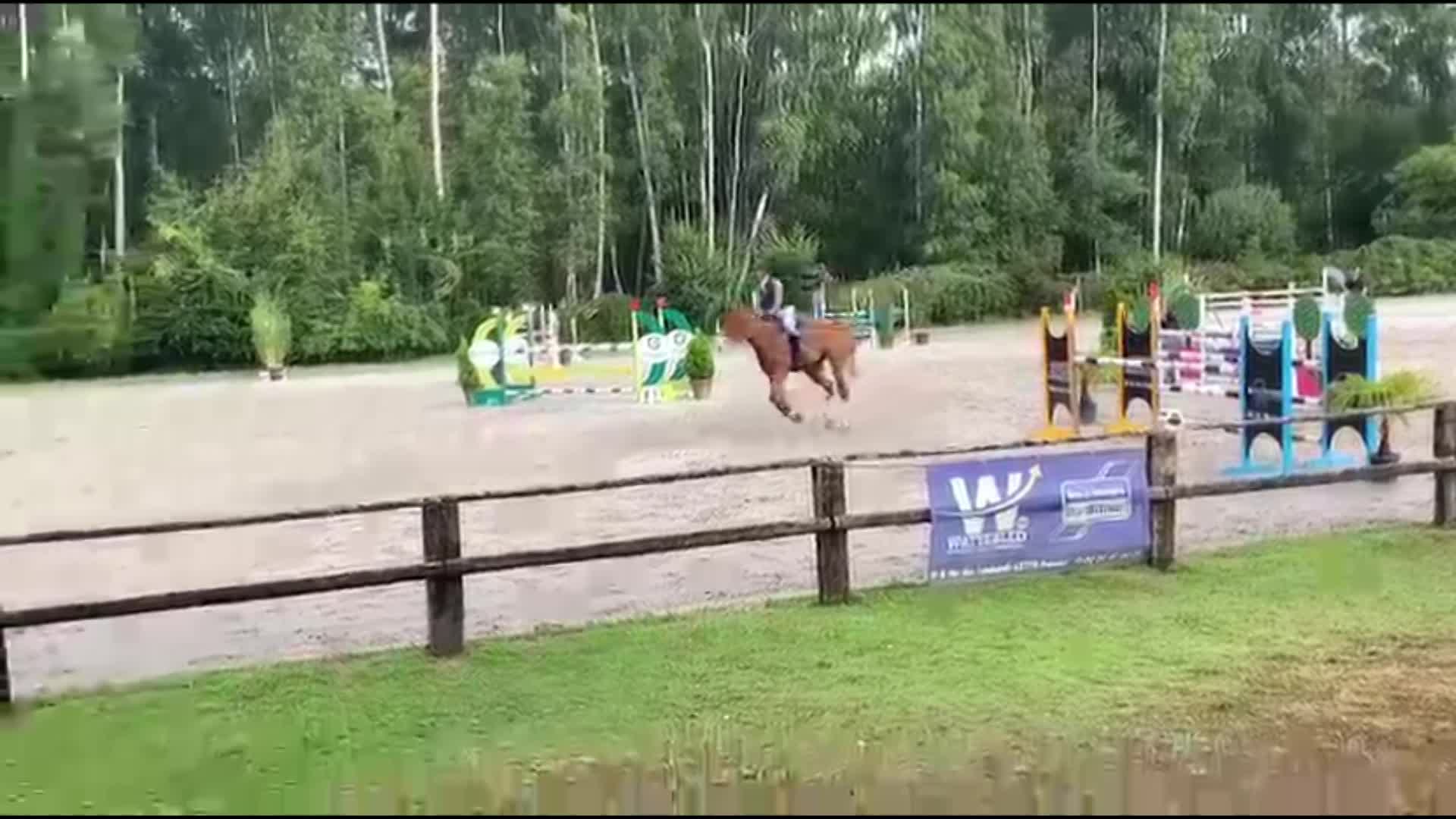 Belle prestation pour nos jeunes chevaux ce week-end !!!